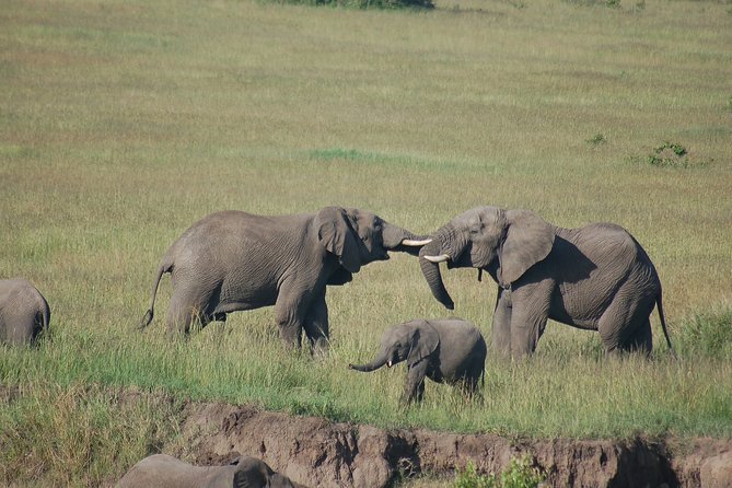 3 Days 2 Nights in Maasai Mara via The Great Rift Valley - Maasai Mara in 3 days, the Great Rift Valley included