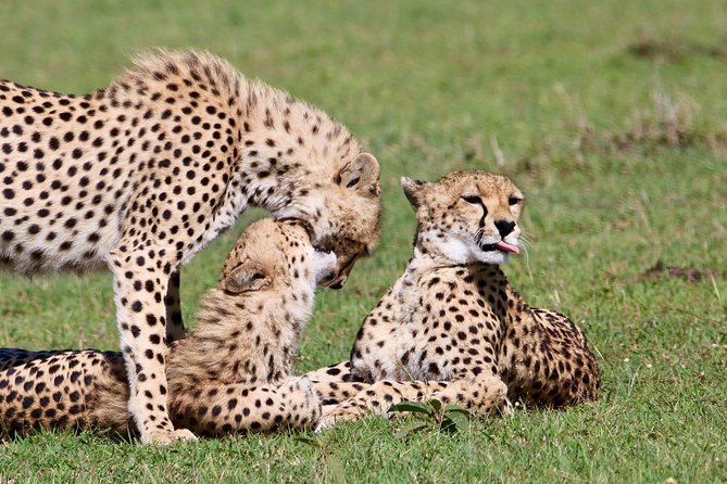 3 Days 2 Nights in Maasai Mara via The Great Rift Valley - Private group setup: what it changes for you