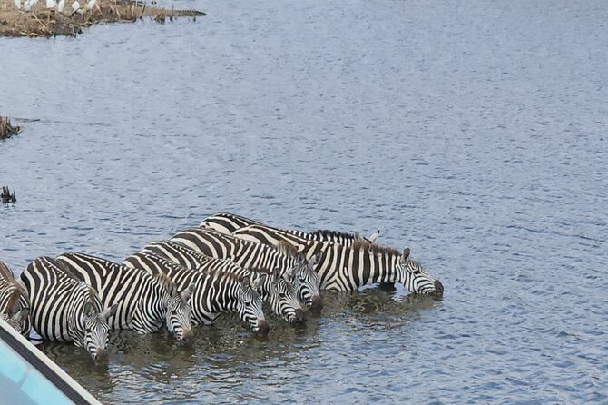 3 Days - 2 Nights Maasai Mara from Nairobi - Price, Privacy, and What $800 Gets You in Real Terms