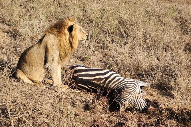 3 Days - 2 Nights Maasai Mara from Nairobi - Who This 3-Day Maasai Mara Tour Is Best For