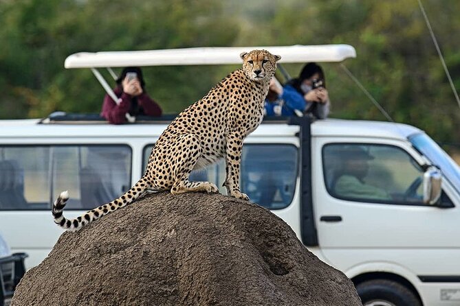 3 Days 2 Nights Maasai Mara Group Safari by 4WD From Nairobi - Accommodation in a tented camp: comfort basics that actually matter