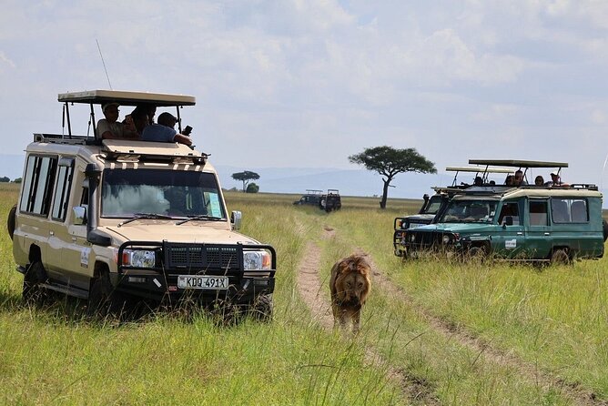3 Days 2 Nights Maasai Mara Group Safari by 4WD From Nairobi - Group size and guide quality, what to expect with a max of 8