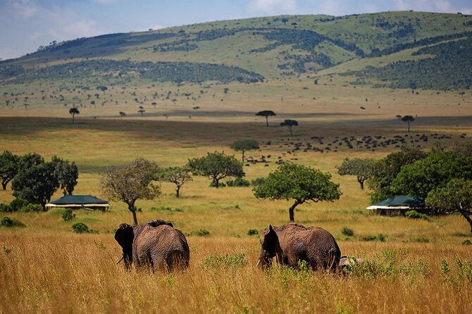3 Days 2 Nights Maasai Mara National Reserve Joining Safari - Key highlights you should know