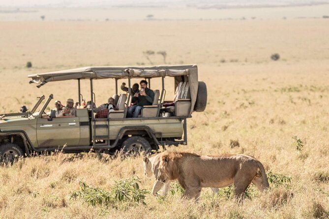 3 Days 2 Nights Maasai Mara National Reserve Joining Safari - What you are really paying for at $600 per person