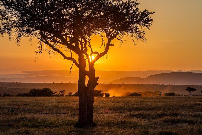 3 Days 2 Nights Maasai Mara National Reserve Joining Safari - Staying outside the package: how to choose lodging without stress