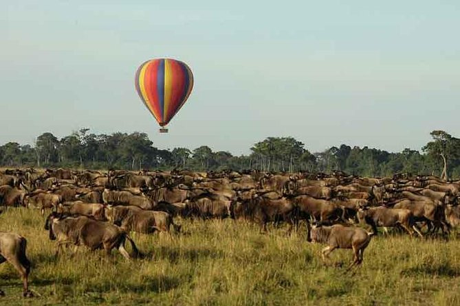 3 Days 2 Nights Masai Mara Joining Safari From Nairobi - Camping, Tents, and Meals: What Included Really Means