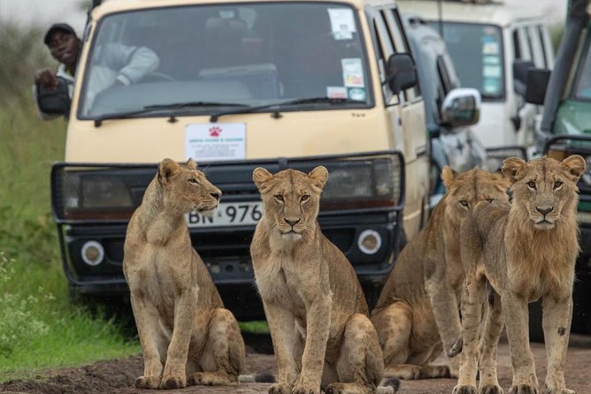 3 Days 2 Nights Masai Mara Joining Safari From Nairobi - Great Rift Valley Viewpoint and Narok Town: A Useful Warm-Up Stop