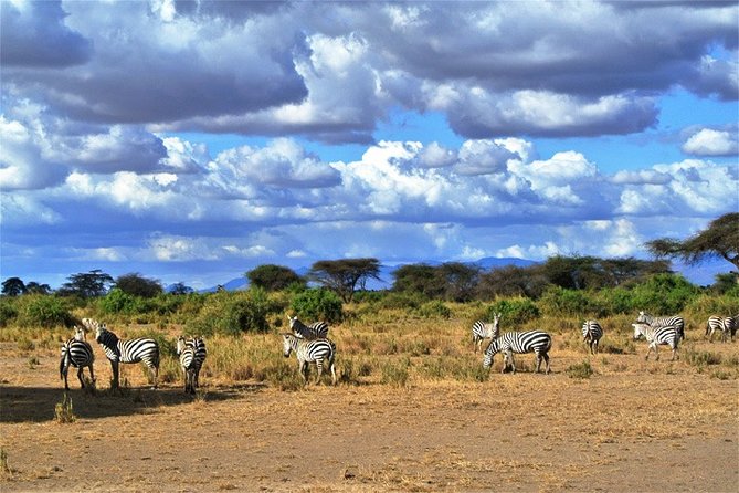 3 Days, 2 Nights Safari - Amboseli National Park and Tsavo West Adventure Safari - Key things I’d zero in on