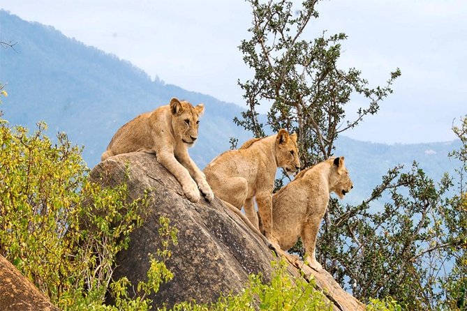 3 Days, 2 Nights Safari - Amboseli National Park and Tsavo West Adventure Safari - What to watch for in the schedule (and what to let go of)