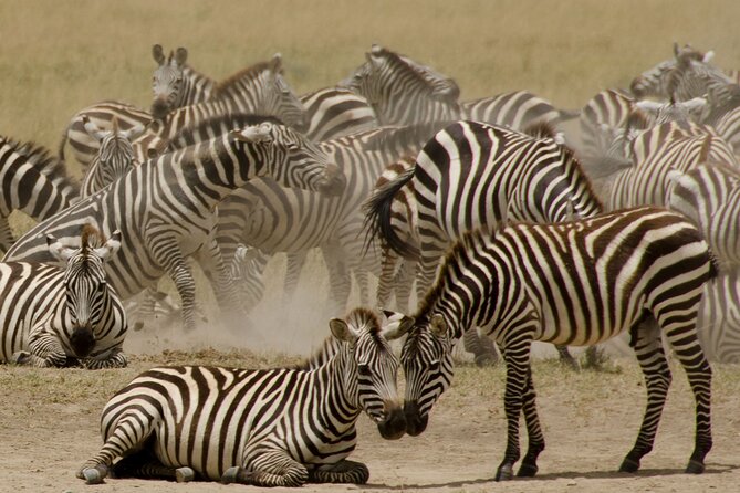 3 Days, 2 Nights Safari - Luxury Maasai Mara from Kisumu/Nairobi - Your Lodge, Meals, and the Meaning of “Luxury” on Safari