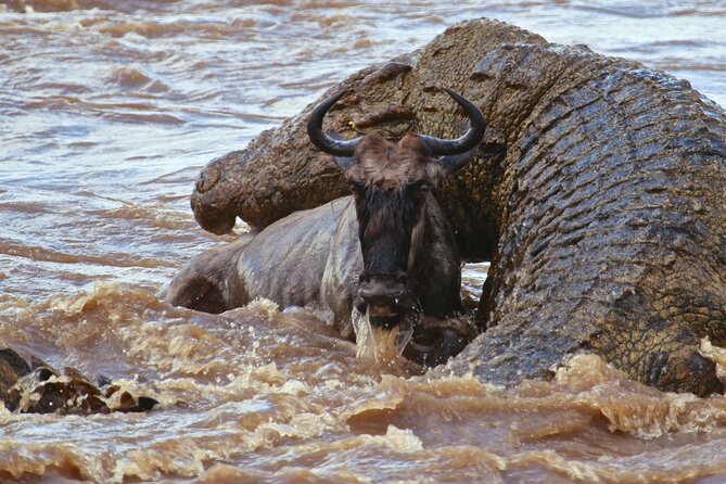 3 Days, 2 Nights Safari - Luxury Maasai Mara from Kisumu/Nairobi - Day 3: Maasai Village Visit Add-On and Ending the Safari the Right Way