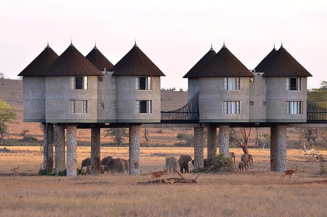 3 Days 2 Nights Safari to Saltlick Lodge from Nairobi - Salt Lick Lodge on stilts, the watering hole that drives the photos