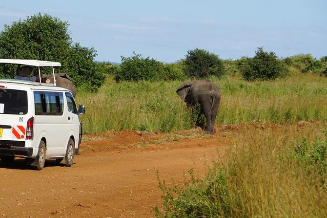 3 Days 2 Nights Safari to Saltlick Lodge from Nairobi - Meals and accommodation, what is included and what that buys you