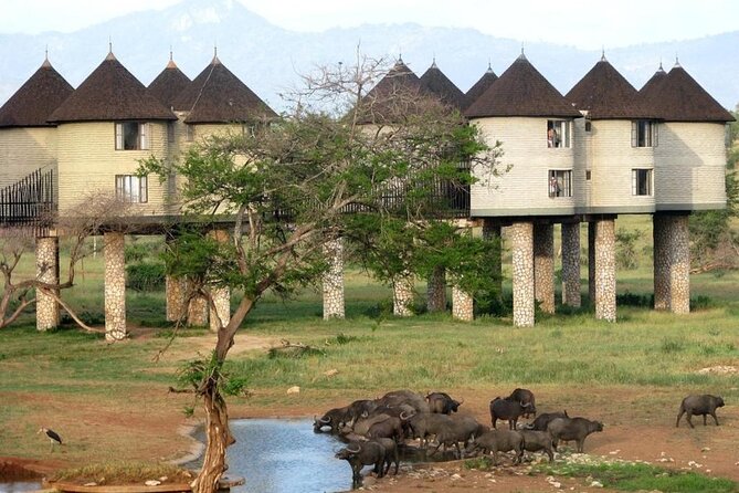 3 Days 2 Nights Safari to Saltlick Lodge from Nairobi - Taita Hills lunch stop, why it is more than a break