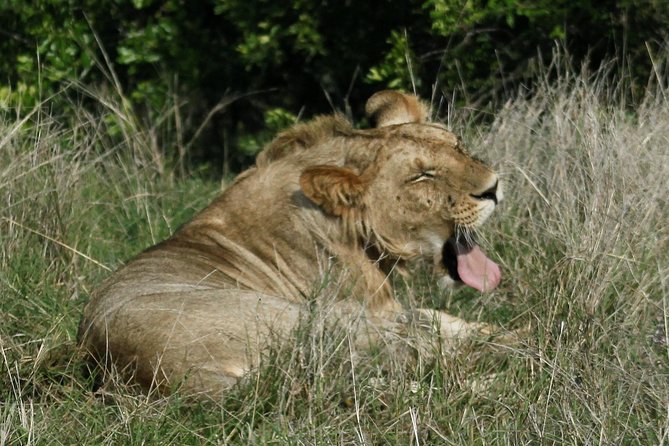 3 Days(2 nights) Tsavo East Tour & Saltlick (Cost based on minimum 2 persons) - Lodging and meals: full-board comfort without food decisions