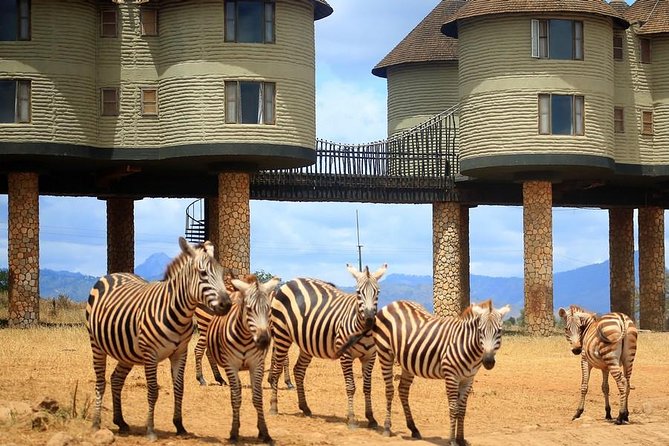3 Days(2 nights) Tsavo East Tour & Saltlick (Cost based on minimum 2 persons) - Day 1: Tsavo East National Park, Bachuma Gate, and your first big sightings