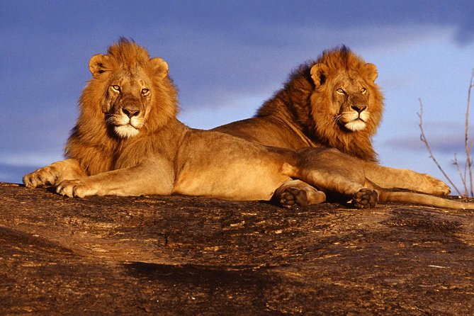 3 Days (2 nights); Tsavo East & West Safari: - Tsavo East from Bachuma Gate: first game drive, then lunch, then another push