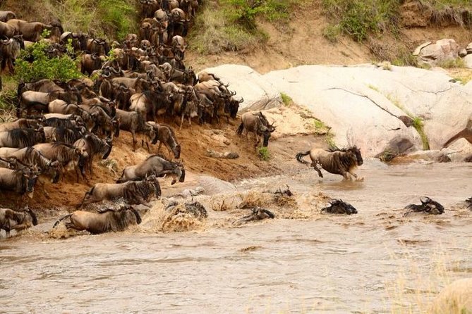 3 Days adventurous Maasai Mara Budget Group Safari - Guides and communication, the names that keep showing up