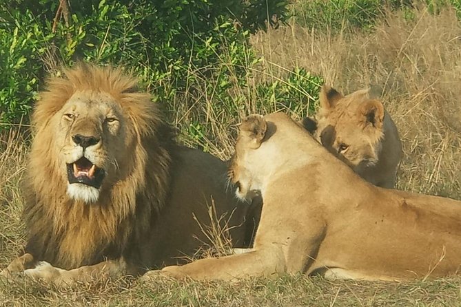 3 Days adventurous Maasai Mara Budget Group Safari - Who this Maasai Mara group safari fits best
