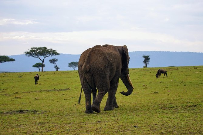 3 Days Amboseli National Park safari - Price and value: what $790 covers, and where costs can pop up