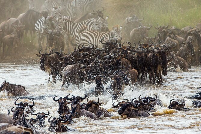 3 Days and 2 Nights Adventure in Masai Mara - Masai Mara National Reserve and Big Five Game Drives