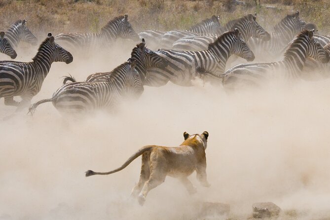 3 Days and 2 Nights Adventure in Masai Mara - Guide Quality, Road Knowledge, and the Safety Factor