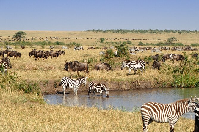 3 Days and 2 Nights Adventure in Masai Mara - Should You Book It?