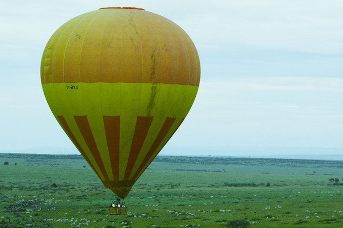 3 Days Budget Masai Mara Safari - Day 1: Great Rift Valley viewpoint stop, then afternoon game drives