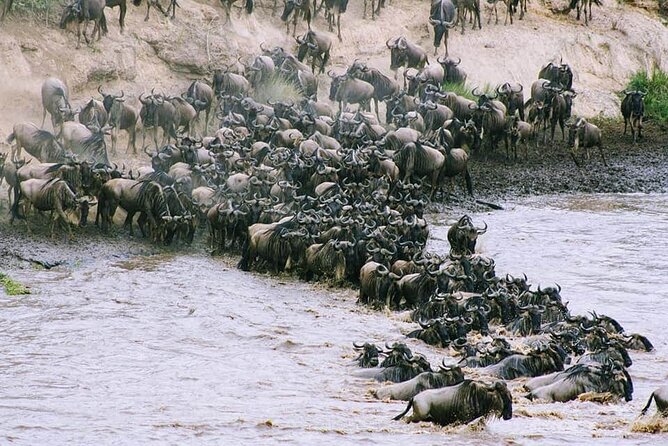 3 Days Budget Masai Mara Safari - Day 2 meals included: you avoid the safari cost spiral