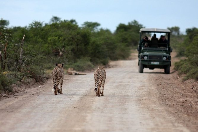 3 Days Budget Masai Mara Safari - Day 3: breakfast, check out, optional Maasai village, then back to Nairobi