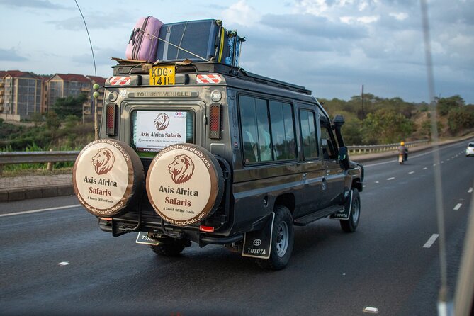 3 Days Gamedrive Safari In Masai Mara From Nairobi - Day 3 Dawn Drive and the Return to Nairobi by Mid-Afternoon