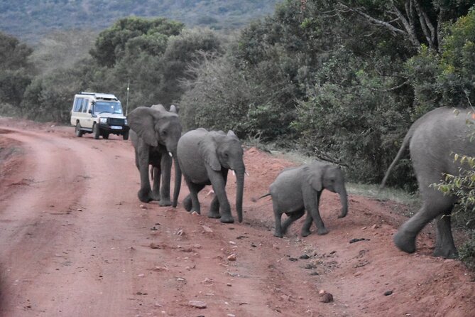 3 days group joining safari to Maasai Mara with a Land Cruiser Jeep - Day 1: Rift Valley viewpoint stop, lunch arrival, then a 4:00 pm game drive