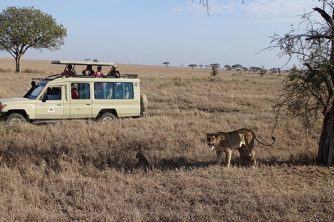 3 days group joining safari to Maasai Mara with a Land Cruiser Jeep - Group safari timing, and how to get the best from a small group
