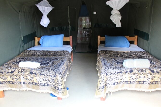 3 days group joining safari to Masai Mara with a Land CruiserJeep - What to do with your first day sightings