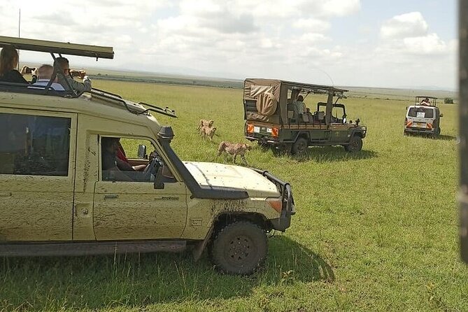 3 days group joining safari to Masai Mara with a Land CruiserJeep - Price and value: what $217 buys you, and what to double-check