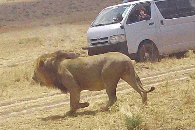 3 Days Maasai Mara Budget Group Safari - Why Maasai Mara is such a good budget bet