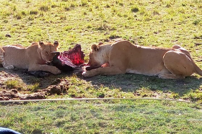 3 Days Maasai Mara Budget Group Safari - Nairobi to Maasai Mara, with Rift Valley views and a real travel plan