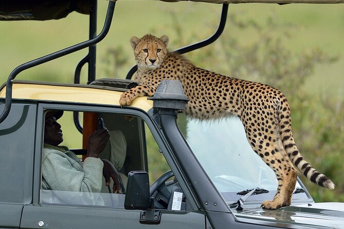 3-Days Maasai Mara Camping Safari on 4x4 Land Cruiser Jeep - Key things that make this Maasai Mara camping safari work