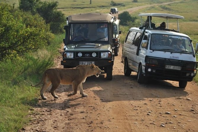 3-Days Maasai Mara Camping Safari on 4x4 Land Cruiser Jeep - The open-roof 4x4 Land Cruiser is not a small detail