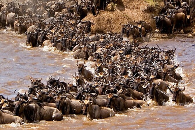 3-Days Maasai Mara Camping Safari on 4x4 Land Cruiser Jeep - Day 3: leaving the Mara with a final village option