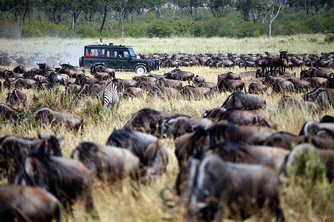 3-Days Maasai Mara Camping Safari on 4x4 Land Cruiser Jeep - Who this safari suits best, and what to pack for camping reality