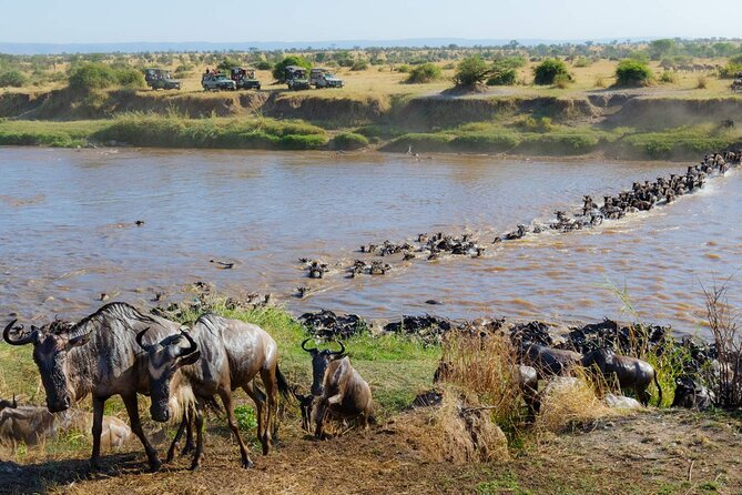 3-Days Maasai Mara Camping Safari on 4x4 Land Cruiser Jeep - Should you book this 3-day Maasai Mara camping safari?