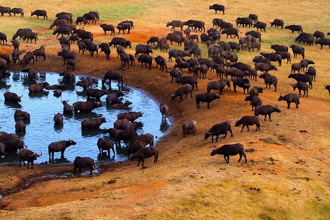 3-Days Maasai Mara Camping Safari on 4x4 Land Cruiser Jeep - Day 1 timing and what your first Mara night actually feels like