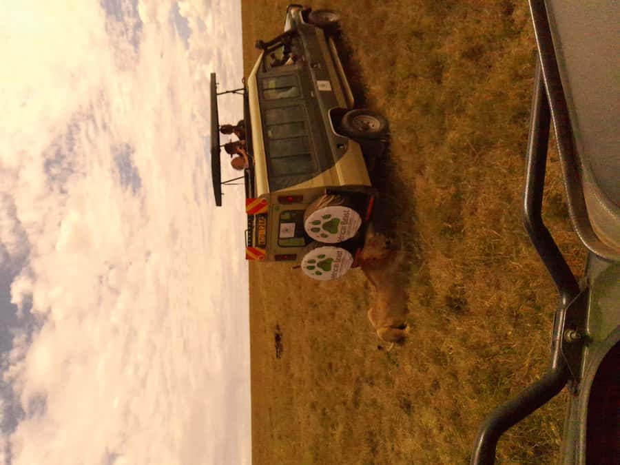 3 Days Maasai Mara Group Safari using a 4x4 Landcruiser - Nairobi to Maasai Mara, plus a Rift Valley viewpoint break