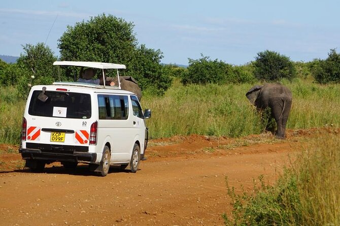 3 Days Maasai Mara Guided Safari from Nairobi - Nairobi To Maasai Mara, What the Small Group Actually Means