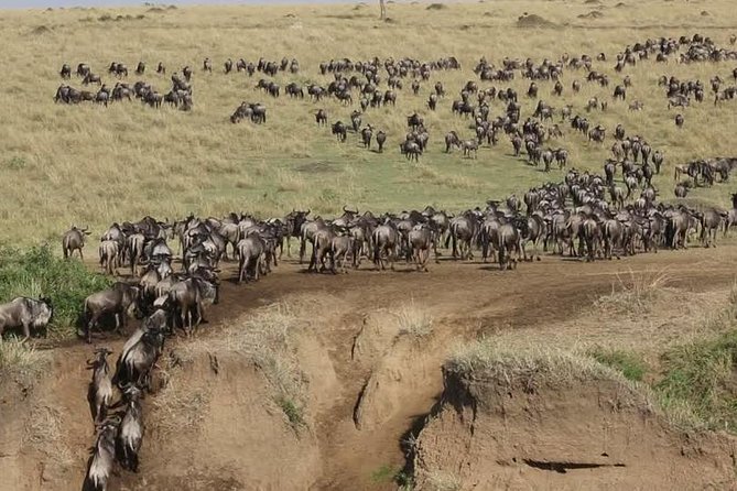 3 Days Maasai Mara Guided Safari from Nairobi - Price and Park Fees: Where the Budget Math Gets Real