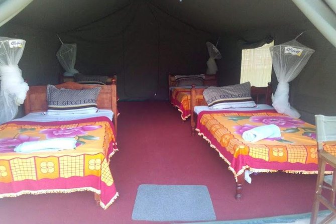 3 Days Maasai Mara Guided Safari from Nairobi - Meals, Water, and Camp Life on a Long Wildlife Day