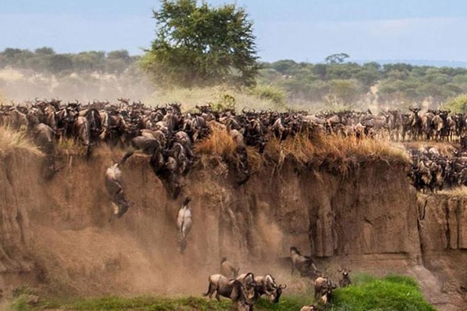 3 Days Maasai Mara Guided Safari from Nairobi - Day 1: Rift Valley Viewpoint, Then a Timed Sunset Drive