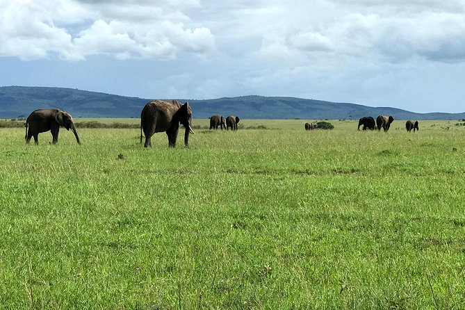 3 Days Maasai Mara Luxury Camping - How to set expectations for the two camp nights