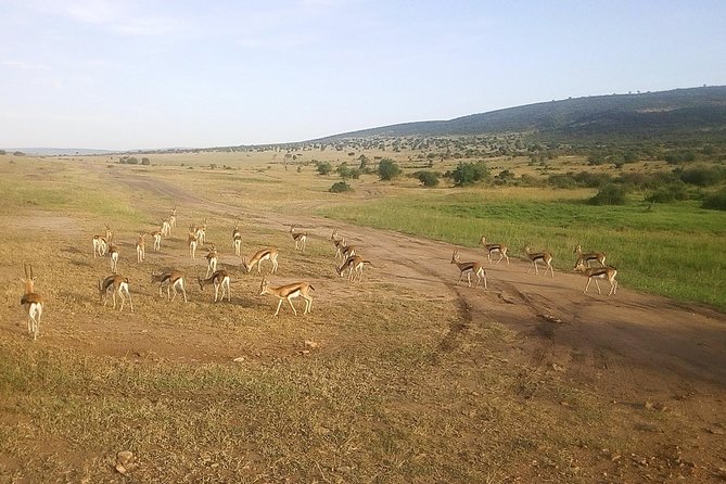 3 Days Maasai Mara Luxury Camping - Who this Maasai Mara luxury camping safari suits best